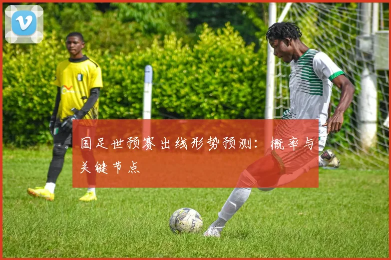 国足世预赛出线形势预测:概率与关键节点